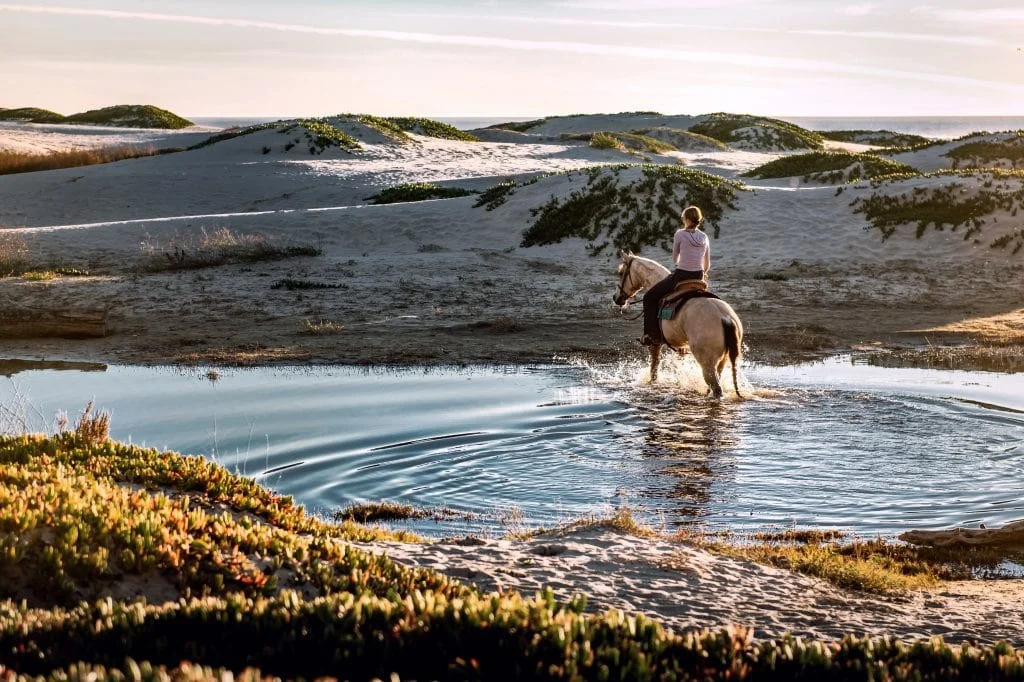 Horse Riding